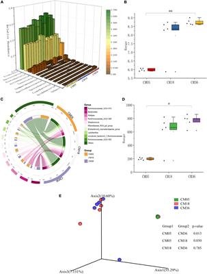 Age-dependent changes of hindgut microbiota succession and metabolic function of Mongolian cattle in the semi-arid rangelands